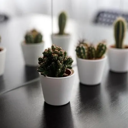 - Old Town - Comfortable And Cozy - W3 아파트