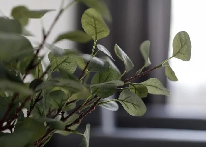 - Old Town - Comfortable And Cozy - W3 아파트