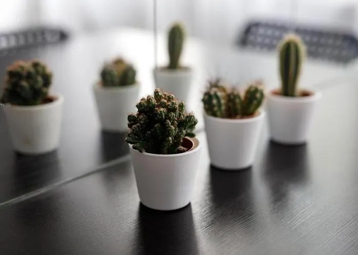 - Old Town - Comfortable And Cozy - W3 Appartamento